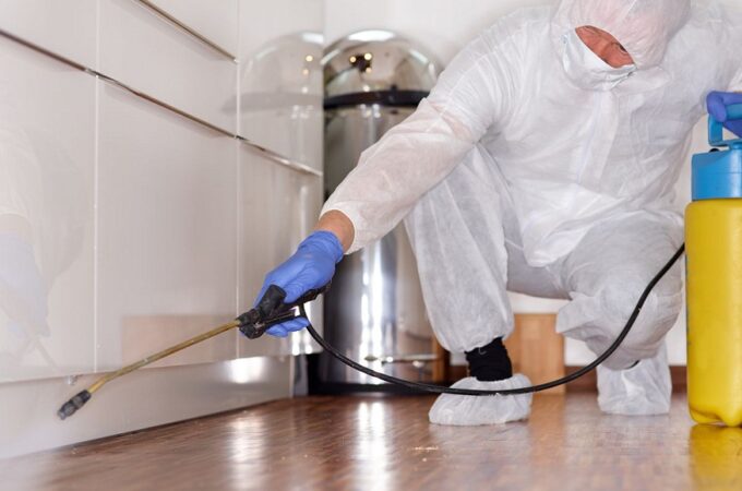 New Year’s Resolution for a Pest-Proof Home