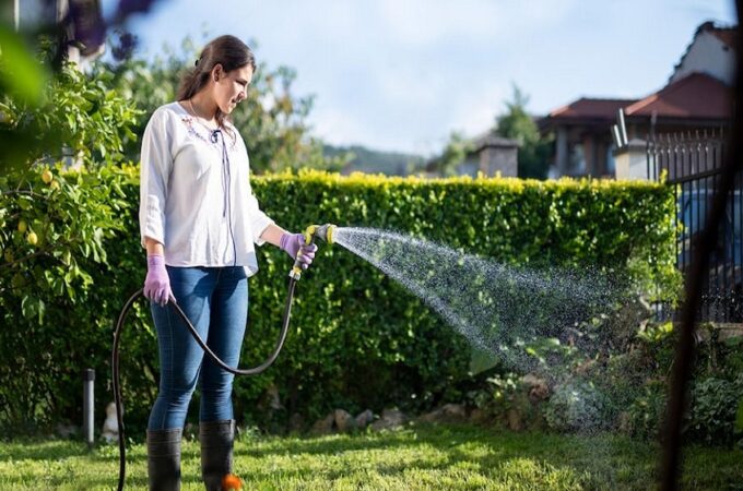 7 Tips to Prevent Water Logging in Your Garden