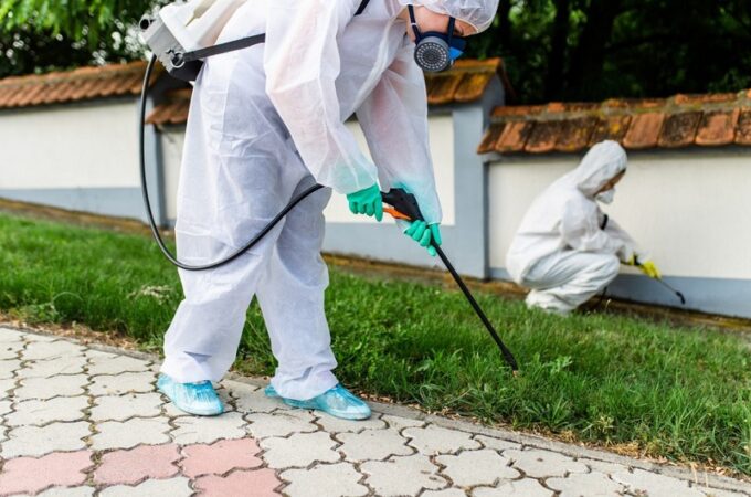 Professional For Pest Control In Garden City
