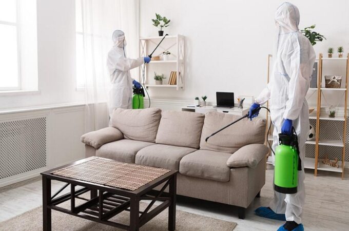 Pests Away From Your Home