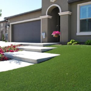 Grass for Los Angeles Homes