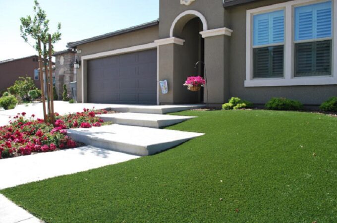 Grass for Los Angeles Homes