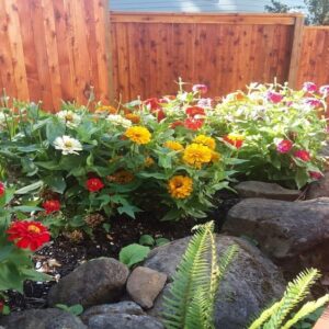 Landscaping for Bees