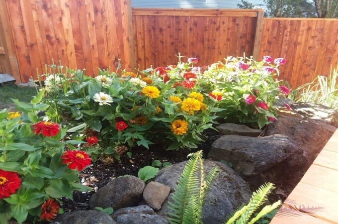 Landscaping for Bees: Plants and Habitats They Love
